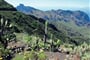 Tenerife s trekingem - turistika mezi sopkami a exotickými soutěskami